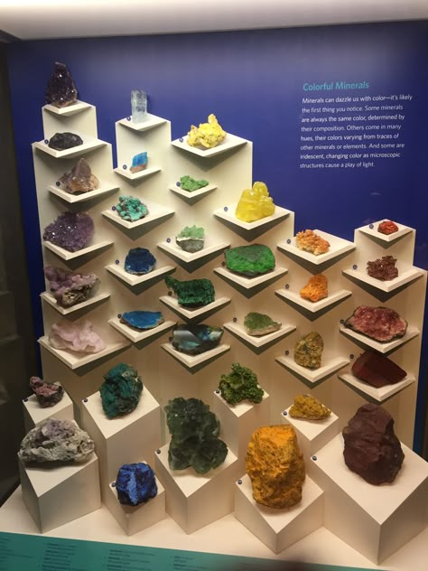 Mineral Collection Display, Rock Museum, Museum Display Cases, Minerals Museum, Museum Display, Museum Exhibition Design, Jewelry Store Design, Crystals Store, Jewellery Exhibition