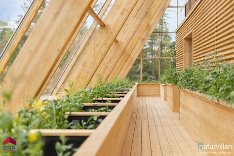 An off-grid greenhouse home is for sale on Sweden’s Lake Vänern Greenhouse Home, Mediterranean Plants, Home Greenhouse, Off Grid Cabin, House Blend, Eco Design, Eco House, Bedding Plants, Sustainable Home