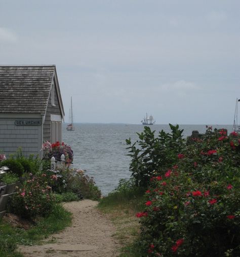 Cape Cod House Exterior Aesthetic, Ptown Cape Cod, Preppy Pinterest, Beach Roses, Provincetown Cape Cod, Cape Cod Summer, Cape Cod Beach, Cape Cod Cottage, Federico Fellini