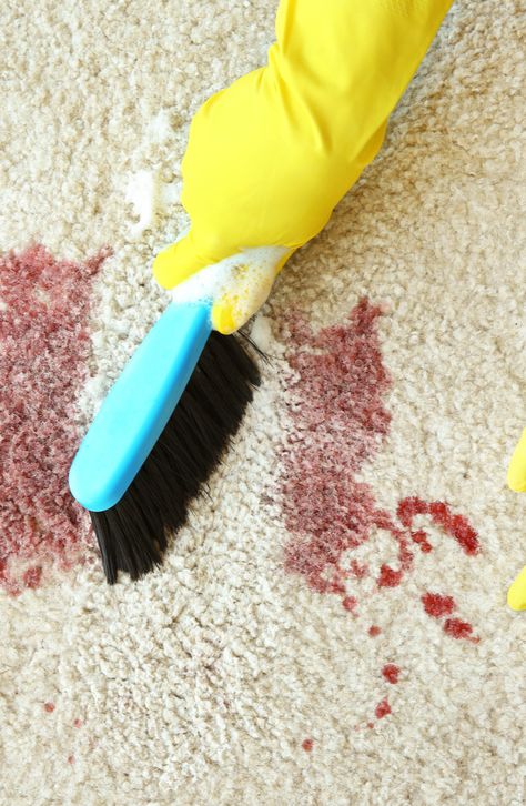 Carpet stains are ugly, slightly embarrassing, and completely awful to remove. Who knew those fuzzies under our feet were so dang absorbent? Instead of reaching for your phone book to call your nearest carpet cleaner, reach into your cleaning closet instead! Here are five ways to remove pesky carpet stains, for good! Removing Blood From Carpet, Blood Out Of Carpet, Cleaning Mixtures, Cleaning Carpet Stains, Enzyme Cleaner, Stain Remover Carpet, Rid Of Ants, Get Rid Of Ants, Tiger Rug