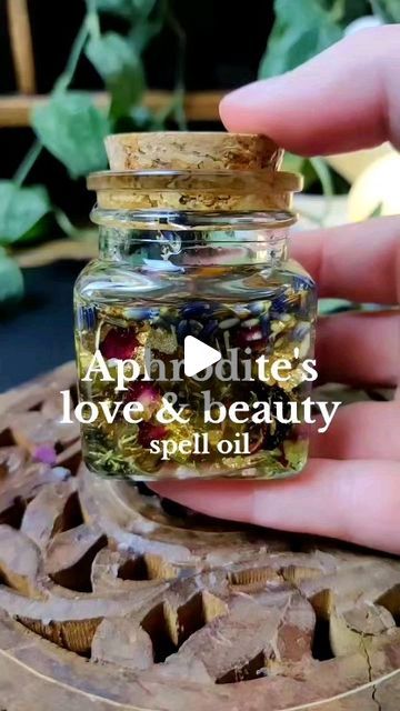 Raven 🌿✨ | Witchcraft Coach on Instagram: "Aphrodite's love and beauty spell oil! 💕✨  #spellwork #babywitch #witchcraft" Beauty Oil Witchcraft, Aphrodite Beauty Spell, Aphrodite Oil Recipe, Love Oil Recipe Witchcraft, Aphrodite Magic, Spell Oil Recipe, Lavender Witchcraft, Aphrodite Oil, Beauty Spell