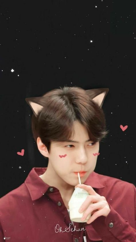 Sehun Cute, Exo Lockscreen, Exo Wallpaper, Exo Sehun, Oh Sehun, Exo L, H U, We Are One, Suho