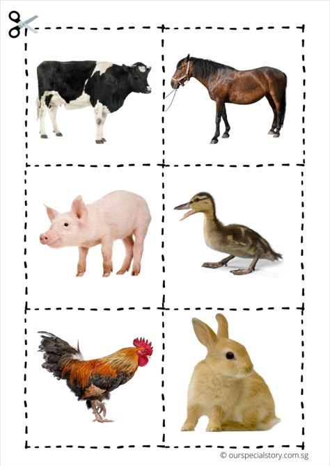 The ability to match is a fundamental skill to many concepts. It is also essential to language development when a child is learning to read or write. In this printable, your child will learn to attend to the details of each farm animal by comparing their different features. 3rd Worksheets, Printable Farm Animals, Farm Animals For Kids, Teaching Kids Letters, Farm Animals Activities, Preschool Activities Printable, Vegetable Pictures, Kindergarten Classroom Decor, Animal Printables