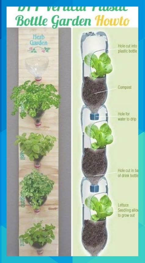 Plastic Bottle Garden, Diy Plastic Bottle, نباتات منزلية, Vertical Herb Garden, Vertical Garden Diy, Group Project, Bottle Garden, Vegetable Gardens, Herbs Indoors