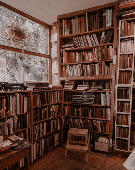 Home Library Aesthetic, Zigarren Lounges, Bookshelf Aesthetic, Lots Of Books, Bookstore Cafe, Dream Library, Library Aesthetic, Library Room, Home Library Design