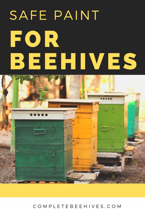 Bees are sensitive to chemicals, so using the wrong paint can be harmful to their health.  The key to finding safe paint for beehives is to choose one with a low VOC. Painting Bee Hives Boxes, Painted Bee Boxes, Bee Hive Painting Ideas, Beehive Painting Ideas, Honey Bee Box, Painted Bee Hives, Bee Hives Boxes, Bee Safe, Backyard Beekeeping