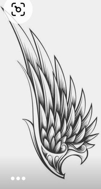 Eagle Feather Tattoo, Eagle Feather Tattoos, Feather Clip Art, Wing Tattoo Men, Instagram Black Theme, Eagle Feather, Feather Texture, Lion Head Tattoos, God Tattoos