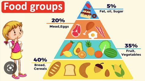 Food Groups Chart, Food Group Pyramid, 5 Food Groups, Food Pyramid Kids, Five Food Groups, The Good Wife, Main Food, Food Groups, Danish Food