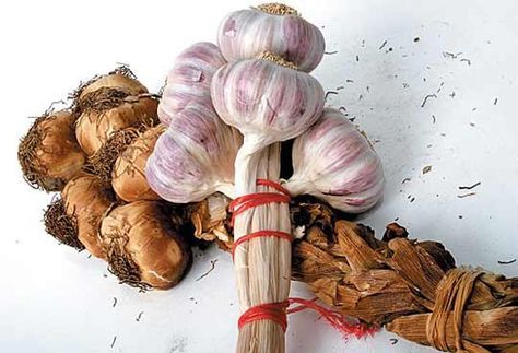 Good Question:  What Can I Do With Smoked Garlic? Smoked Garlic, Just Like Fire, Garlic Storage, Good Questions, Garlic Uses, Garlic Recipes, Smoked Food Recipes, Food Crafts, What To Make