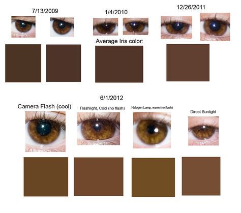 Brown Eye Color Chart, Shades Of Brown Eyes, Eye Color Chart, Eye Chart, Brown Eye, Hex Codes, Hex Color Codes, Dark Brown Eyes, Colour Code