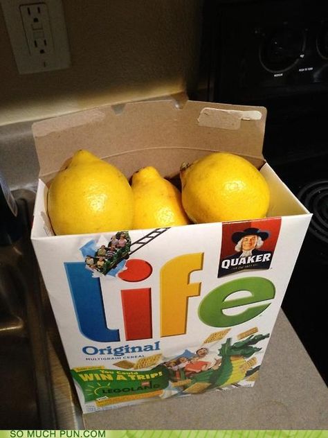 When Life Gives You Lemons ... Cute idea for someone who's down, add some gin and tonic to the box Punny Gifts, Gag Gifts Christmas, Lemonade Recipe, White Elephant Gift, Santa Gifts, Taco Bell, Main Game, April Fools, White Elephant