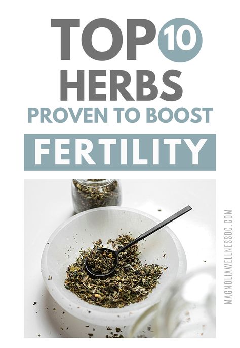 Are you struggling with fertility issues? Trying to conceive with IVF or infertility? Here are my top 10 herbs that are proven to boost fertility naturally and improve reproductive health. Visit magnoliawellnessoc.com for more TTC tips and fertility advice. Fertility herbs | How to increase fertility | trying to conceive boost fertility Teas For Fertility, Increase Fertility Trying To Conceive, Chinese Medicine Fertility, Male Fertility Boost, Spices Health Benefits, Men Fertility, Fertility Cleanse, Fertility Massage, Pregnancy Herbs