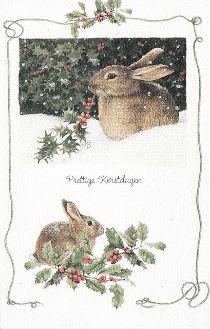 Bunny~ Marjolein Bastin One of the last Hallmark ornaments I gave my mother featured this bunny. Marjolein Bastin, Nature Artists, Rabbit Art, Bunny Art, Art Et Illustration, A Bunny, Dutch Artists, Winter Art, Arte Animal