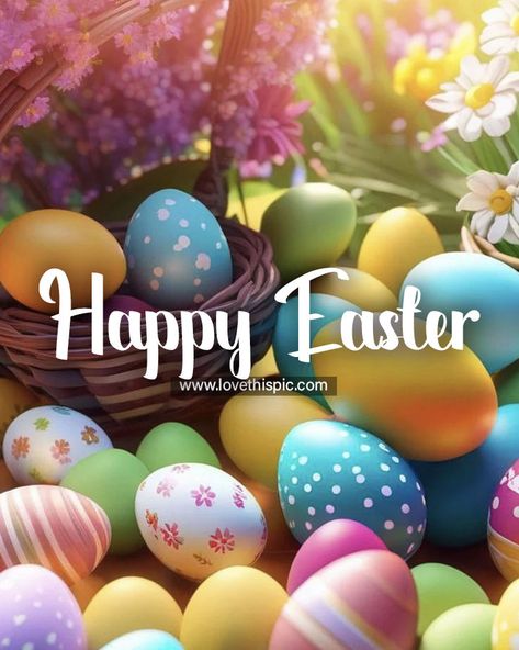 Assorted Easter Eggs - Happy Easter Quote Happy Easter Pictures Inspiration, Happy Easter Gif, Happy Easter Wallpaper, Happy Easter Funny, Happy Easter Pictures, Happy Easter Quotes, Happy Easter Sunday, Photos Flowers, Happy Easter Greetings