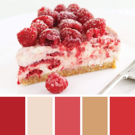 Cheesecake Color Palette, Raspberry Color Palette, Biscuit Crust, Coconut Biscuits, Colour Pallets, Food Inspired, Color Pallete, Raspberry Cheesecake, Raspberry Color