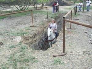 Courage in a course Horse Obstacles, Horse Training Obstacles Diy, Trail Obstacles For Horses Diy, Trail Obstacles For Horses, Extreme Trail Horse Obstacles, Horse Lessons, Horse Games, Horse Exercises, Natural Horsemanship