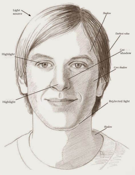 Drawings: LEARNING THE PLANES OF THE FACE Shading Faces, Shadows Drawing, Planes Of The Face, Plane Drawing, Shading Drawing, Shadow Face, Shadow Drawing, How To Shade, Face Illustration