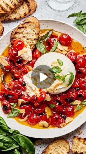 The Modern Proper on Instagram: "Should just call this tomato week and get it over with? It’s all we want to cook with right now so it seems only fair. Full recipe for our braised tomatoes with burrata can be found through the link in bio. 

https://themodernproper.com/braised-tomatoes-with-burrata

#burrata #tomatoes #tomato #dinnerideas #appetizer #easyrecipes" Tomato With Burrata, Roasted Tomatoes With Burrata, Easy Burrata Recipe, Tomatoes With Burrata, Burrata Recipe, The Modern Proper, Modern Proper, Appetizer, Tomatoes