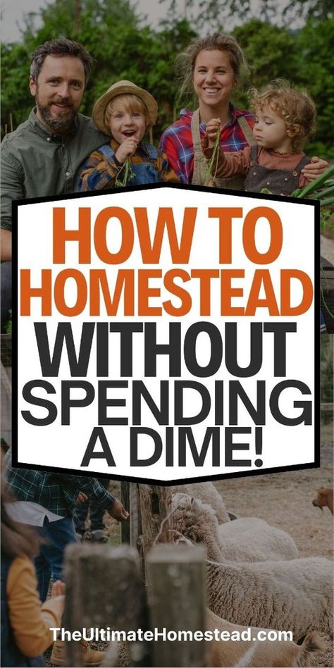 Learn how to homestead without spending a dime with this guide to start homesteading with no money. Discover creative ways to build a low cost homestead and tips for homesteading when you’re broke. From gardening when you’re broke to practical frugal homesteading strategies, this resource is packed with ideas to help you get started no matter your budget. Click now to explore these tips and grab your free "101 Raised Garden Bed Ideas" eBook. How To Homestead In The City, How To Build A Homestead, Homestead On A Budget, How To Start Homesteading Slowly, What Is Homesteading, How To Make Money Homesteading, Homestead Money Making Ideas, Starting Homestead, Homestead Business Ideas