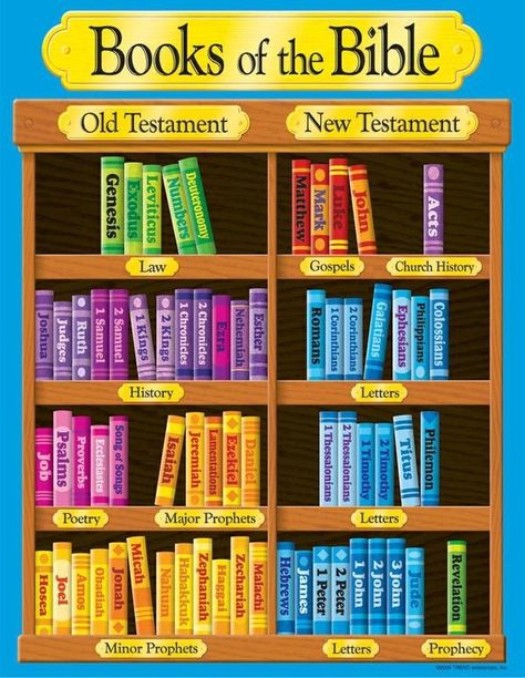 Books of the Bible bookshelf Bible Learning, The Books Of The Bible, Christian Classroom, Bible Books, Sunday School Classroom, Attributes Of God, Bible Games, Churches Of Christ, School Room