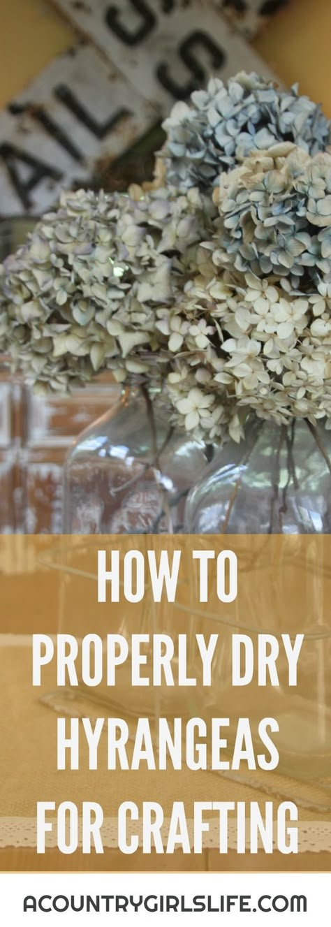 Dried Hydrangea Wreath, Drying Hydrangeas, Dry Hydrangeas, How To Dry Flowers, Flower Head Wreaths, Drying Flowers, Dried Flowers Diy, Preserved Hydrangea, Hydrangea Bush