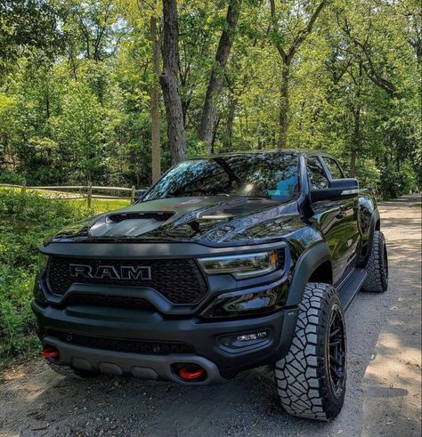 Trx Truck, Ford Trucks F150, Pickup Car, Monster Car, Tacoma Truck, Future Trucks, Custom Pickup Trucks, Dream Cars Jeep, Jacked Up Trucks