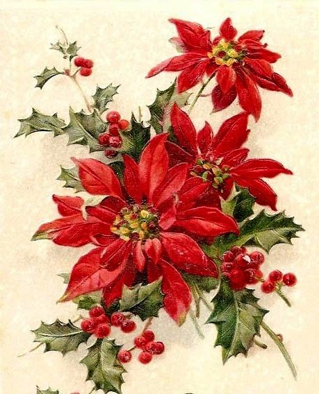 Christmas Prayer, Christmas Ephemera, Vintage Christmas Images, Christmas Graphics, Christmas Poinsettia, Old Christmas, Old Fashioned Christmas, Christmas Flowers, Christmas Scenes