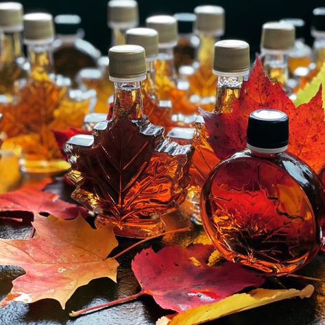 Couching Lion Maple Sugar Farm – Maple Sugar Farm<br />Huntington, Vermont Maple Syrup Aesthetic, Syrup Aesthetic, Maple Aesthetic, Sweet Trees, Maple Sugar, Sugar Maple, Farmers Markets, Maple Tree, Chocolate Sauce