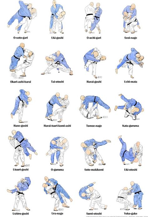 Judo Techniques Names, Judo Moves, Judo Techniques, Judo Training, Karate Moves, Guerriero Samurai, Judo Karate, Mixed Martial Arts Training, Mini Lady Dior