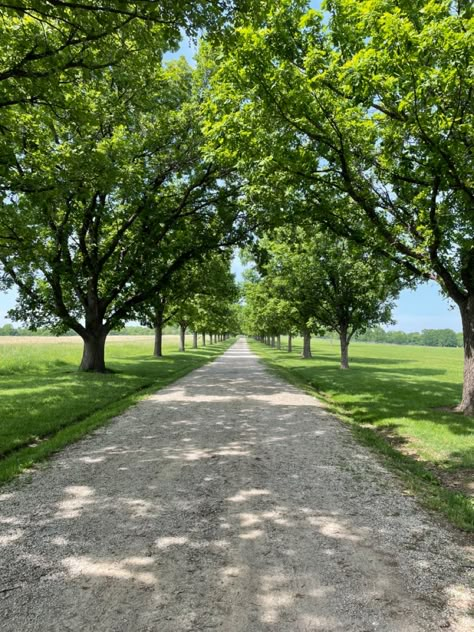 Orchard Driveway, Long Country Driveway, Long Gravel Driveway, Farm Driveway, Ranch Landscaping, Farm Property, Barn Remodel, Farm Entrance, Farm Style House