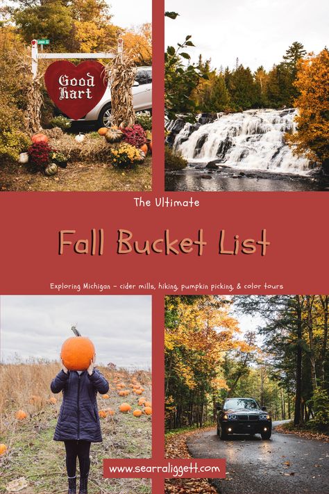 Ultimate Fall Bucket List For Michigan — Searra Liggett Holland Michigan Fall, Fall Michigan, Fall In Michigan, Michigan Fall, Apple Orchards, Holland Michigan, Fall Bucket List, Pumpkin Picking, Activities For Adults