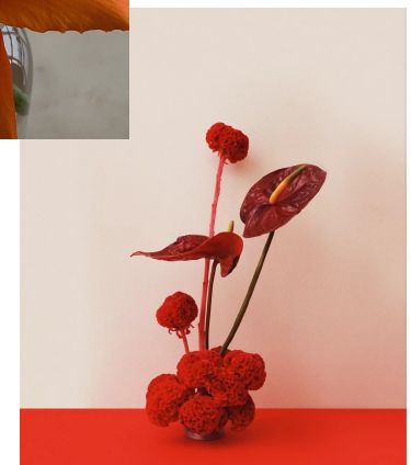 Anthurium Arrangement, Set Design Photography, Red Sculpture, White Flower Arrangements, Flower Studio, Minimal Decor, Orange Roses, Arte Floral, Red Floral