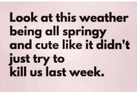 The week of Christmas, 2022, zero. The week after-68 degrees! Winter Jokes, Winter Humor, Weather Memes, Irreverent Humor, Funny Thoughts, Best Pics, Holiday Humor, Sarcastic Humor, Funny Signs