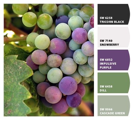 grape tones Color Uva, Bunch Of Grapes, Wine Event, Pastel Decor, Grape Bunch, Color My World, Colour Inspiration, Colour Combinations, Colour Palettes