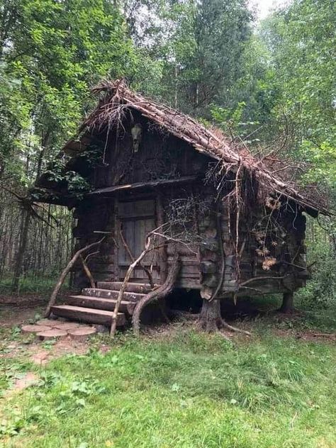 Small Cabin In Woods, Wooden Shack, Witch Hut, Tiny House Company, Wooden Hut, Forest Cottage, Forest Cabin, Wooden Cabins, Cottage In The Woods