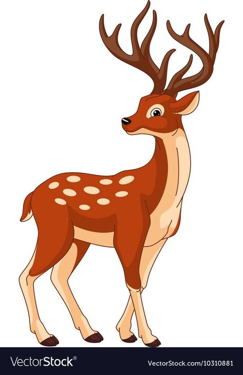 Deer Vector, Deer Cartoon, Deer Drawing, Sika Deer, Animal Art Projects, Baby Animal Drawings, Deer Illustration, School Wall Art, Cute Cartoon Animals