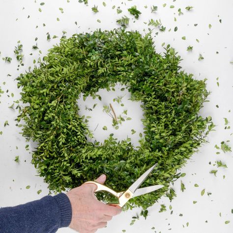 Weekend Projects Diy, Boxwood Wreaths, Fresh Wreath, Utica Ny, Holiday Greenery, Boxwood Wreath, Christmas Wreaths To Make, Weekend Projects, Green Witch