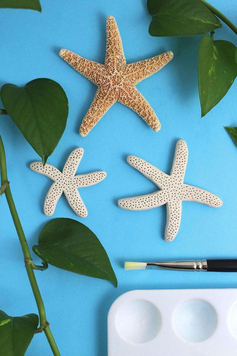 DIY: How to make faux starfish | xfallenmoon #tutorial #beach #decor #crafts Diy Starfish How To Make, Underwater Window, Diy Starfish, Starfish Craft, Beach Anniversary, North Caroline, Deco Marine, Starfish Decor, Stella Marina