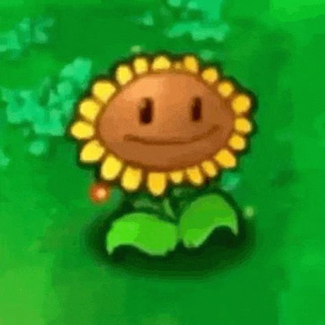 Plant Vs Zombies Sunflower, Sunflower Plants Vs Zombies, Zombie Vs Plants, Zombie Gif, Plant Vs Zombies, Zombie Gifts, Zombie Tattoos, Boy Meme, Plant Zombie