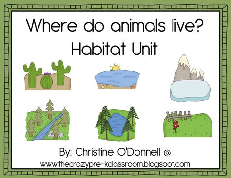 Animal Habitats Printables | product where do animals live 11 habitats animals minibooks 206p Animal Habitats Kindergarten, Habitat Activities, 2nd Grade Reading Worksheets, Animal Habitat, Animal Adaptations, Animal Worksheets, Classroom Tools, Kindergarten Worksheets Printable, Reasoning Skills