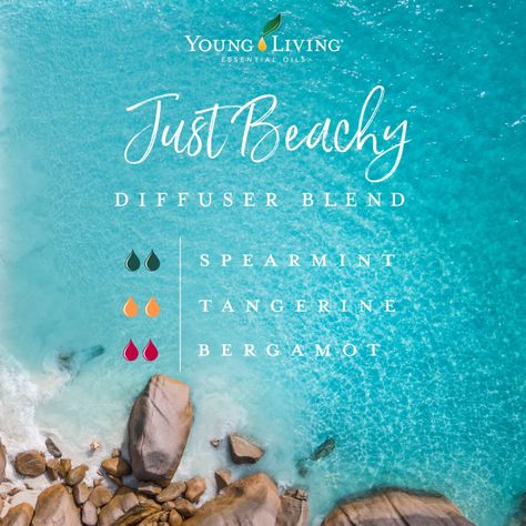 Just Beachy Diffuser Blend   https://www.facebook.com/YoungLiving/photos/a.493560596981/10158541616356982/?type=3&theater Young Living Essential Oil Diffuser, Summer Diffuser Blends, Summer Essential Oils, Essential Oil Combinations, Essential Oil Diffuser Blends Recipes, Young Living Essential Oils Recipes, Essential Oils Guide, Essential Oil Diffuser Recipes, Oil Diffuser Recipes