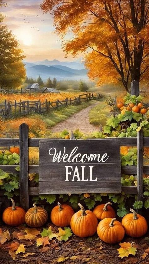 Fall And Pumpkins, Cute Fall Pictures Backgrounds, Beautiful Fall Wallpapers, Welcome Fall Images, Fall Images Wallpaper, Autumn Scenes Country Life, Fall Scenery Wallpaper, Vintage Fall Wallpaper Iphone, Fall Pumpkins Wallpaper