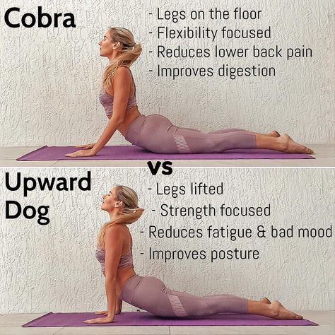 Cobra vs Upward Dog!! Which do you prefer?! 💞 🐍 🐶 👉🏼 Cobra Pose: 🐍 Legs and pelvis stayed rested on the floor and arms are slightly bent… Hata Yoga, Upward Dog, Ashtanga Vinyasa Yoga, Yoga Beginners, Cobra Pose, Dog Yoga, Yoga Posen, Yoga Iyengar, Yoga Moves