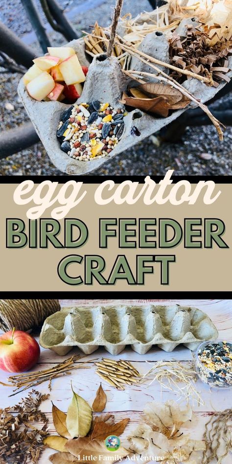 Nest Craft, Bird Nest Craft, Bird Feeder Craft, Bird Seed Ornaments, Fun Activity For Kids, Window Bird Feeder, Homemade Bird Feeders, Nature Projects, Egg Cartons