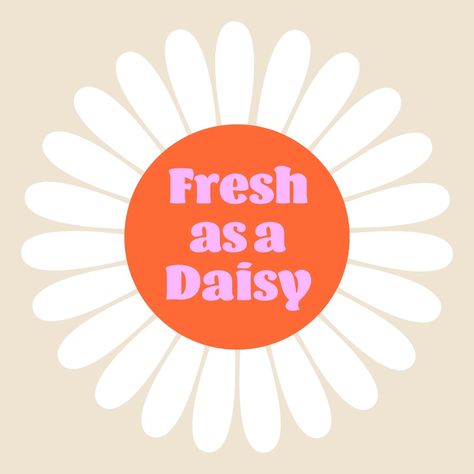 Painting Daisy Flower, Daisy Graphic Design, Fun Widgets, Daisy Quotes, Daisy Image, Daisy Brand, A Daisy Flower, Flower Quote, Social Graphics