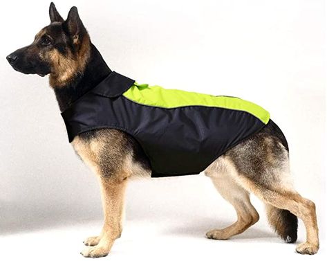 HiGuard Dog Raincoat Lightweight Waterproof Large Pet Dog Rain Jacket with Strip Reflective & Leash Hole Winter Dog Vest Warm Rain Coats Safety for Dogs and Puppies (XXL, Green) : Amazon.ca: Pet Supplies Cat Sling, Transparent Raincoat, Trail Dog, Pocket Dog, Waterproof Dog Coats, Rain Coats, Waterproof Rain Jacket, Dog Raincoat, Cat Carrier