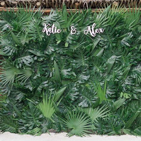 Photo Wall Backdrop, Tropical Wedding Reception, Monstera Wall, Epic Photos, Wall Backdrops, Tropical Wedding, Wedding Reception, Party Themes, Photo Wall