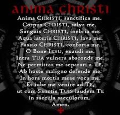 Dr Duane Tang’s Instagram photo: “The Anima Christi Prayer” Anima Christi Prayer, Anima Christi, Instagram Photo, Instagram