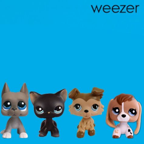 Littlest pet shop meme weezer album Littlest Pet Shop Show, Lps Memes, Lps Pfp, Lps Aesthetic, Lps Popular, Custom Lps, Lps Toys, Lps Pets, Lps Littlest Pet Shop