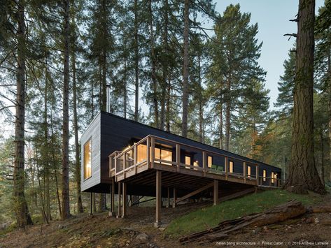 Salt Spring Island Bc, Bungalow Resorts, Ing Civil, Natural Forest, Dwell Magazine, Salt Spring Island, Forest Cabin, Connect With Nature, Family Legacy